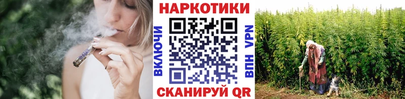 Наркота Сертолово Псилоцибиновые грибы COCAIN Alpha-PVP Меф мяу мяу Гашиш АМФ