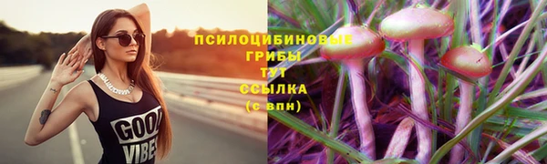 PSILOCYBIN Абдулино