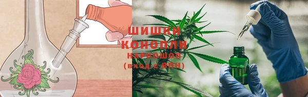 PSILOCYBIN Абдулино