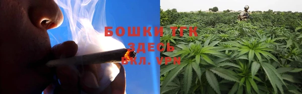 PSILOCYBIN Абдулино