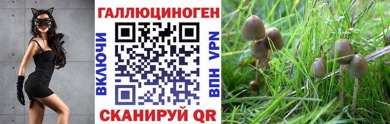 Галлюциногенные грибы мухоморы Сертолово
